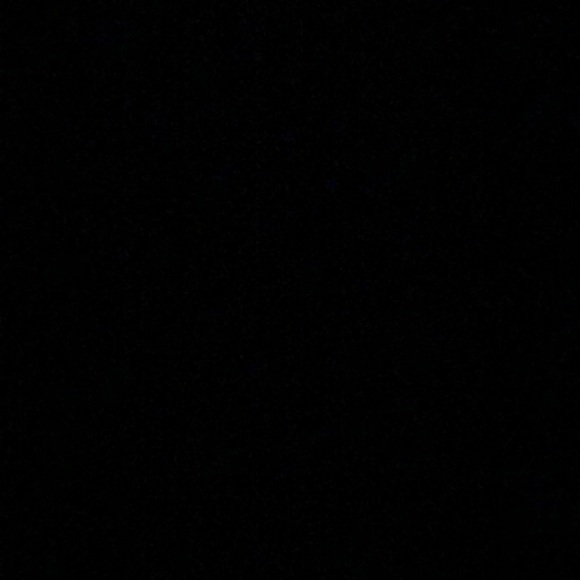 kiarawilson173